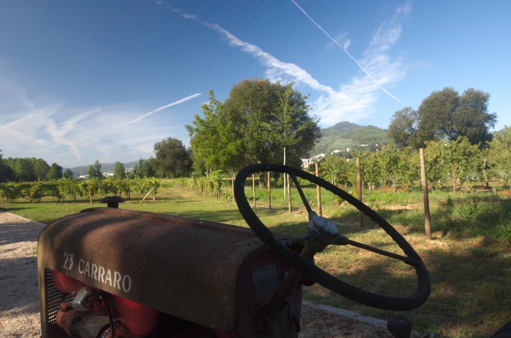 1720 Quinta Da Cancela - Winery & Farmhouse Guimarães Extérieur photo